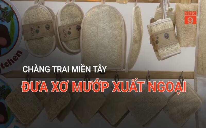 Xo muop xuat ngoai